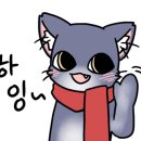 일로-1호 이미지