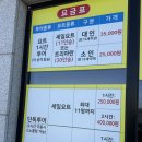 속초 액티비티 장사항 마리나 요트 놀거리 추천