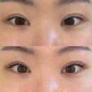 그린피드 | 장지역 속눈썹연장 광고 홍보X 그린래쉬 내돈내산 재방문 브라운래쉬 후기