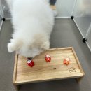 대진유치원 이미지