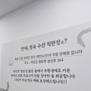백세정2 이미지