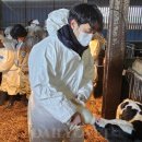 웰빙동물병원 이미지