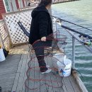 독도바다낚시터 이미지