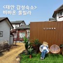 태안 펜션 비바온 풀빌라 감성숙소 / 개별수영장, 바베큐