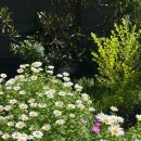 마인드컨트롤 이미지