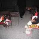 코코애견펜션 이미지