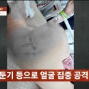 사건반장에 나온 유튜버 수탉 납치사건 경위 이미지