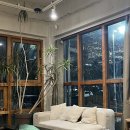 엘리펀트피자 용산이곡점 | 커피 / 올웨이즈 어거스트 로스터리 삼각지, 블루엘리펀트 안경테 / 역삼 샌드위치 맛집 라이프델리...