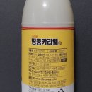 땅콩과카라멜