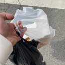 백운청과