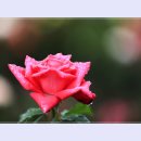 곡성-047 티스토리