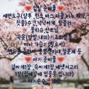 리앤아이산후조리원 이미지