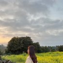 블루밍 스파앤풀빌라 이미지