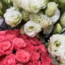 봉덕초교 병설유치원 이미지