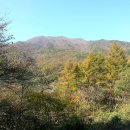 국립오서산자연휴양림 이미지