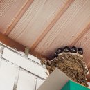 애월마실 이미지