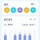 9월 3일 화요일 [7번/10점] 화욜 ^^ 이미지