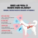 포러스트