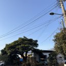 삼달다방
