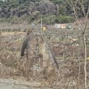 솔내음농업회사법인(주)