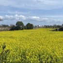 사계보건진료소 이미지