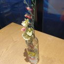 홍이농장 이미지