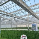 월드농장 이미지