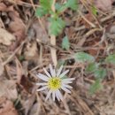 청수장 이미지