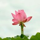 시대신주 시대명주 시무상주 시무등등주 / 구경열반 삼세제불