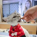 뭉치쌀롱 이미지