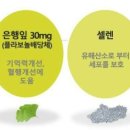 제너럴케어 이미지