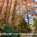 수정산가족체육공원입구 이미지