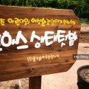 로하스농장 이미지