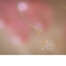 라마다파크 이미지