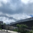 조이성인게임장 | 제주 981파크 :: 레이싱카트/서바이벌/오락실/액티비티 아이와 함께