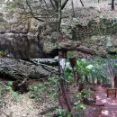 양촌목장 이미지