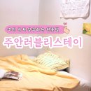 스테이러블리 네이버블로그