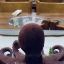 굴이랑전복이랑 이미지