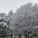 늘해랑한의원 이미지