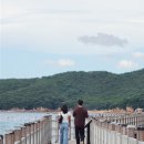 바다와 노을 이미지