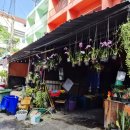 더하기센터 1층 카페본량 | 센터포인트호텔 실롬 근처 사니스 방콕카페 분위기는 오케이 가성비 NO