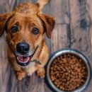 석동농장 이미지