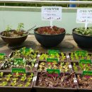 한상푸드 이미지