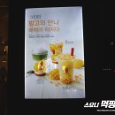 공차청라엑슬루