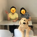 디저트39계양 이미지