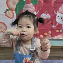 꼬마대통령어린이집 - 수원시 장안구 | 꼬마대통령어린이집