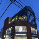 6452 | 압구정 도산 베이프 매장 오픈🦍BAPE 도산 플래그십 스토어 방문 후기