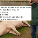 행정농장 이미지