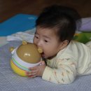 오뚝이PC 이미지