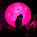 아르떼뮤지엄 이미지